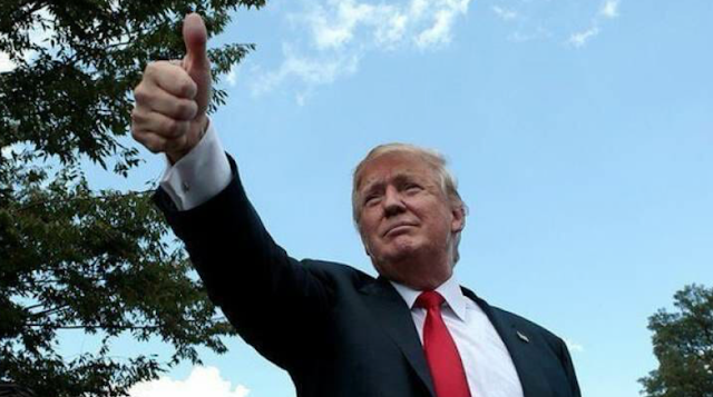 BOOM! Trump Approval at 50% — 5 POINTS HIGHER THAN OBAMA at Same Point in His 