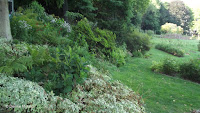 Shade plantings, Pardee Rose Garden - East Rock Park, New Haven, CT