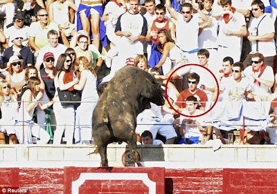 Man in a red England shirt get Weird Bull attack face to face Seen  On www.coolpicturegallery.net