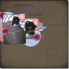 022111_B2N2tempHDChdFEBswchall_DANAiphonebackpocket (600 x 600)