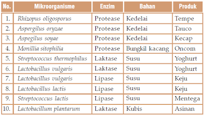 Pengertian Produk dan Manfaat Bioteknologi (Konvesional dan Moderen)