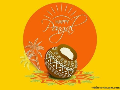 Pictures of Pongal