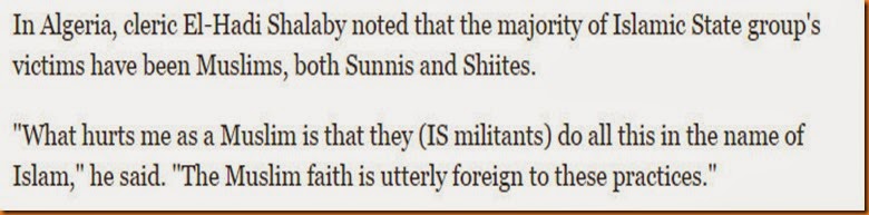 is-isis-si-003