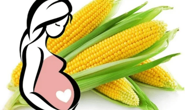 تعتبر الذرة مفيدة للحامل، كونها تحتوي على نسبة جيدة من حمض الفوليك،