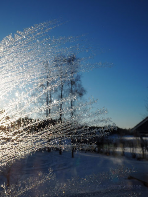 lingonberryhouse, ice, window, ikkuna, jää