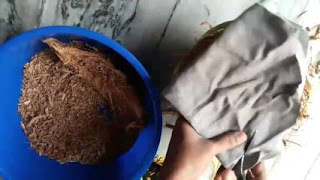 Keterampilan Ulet Cara  Membuat  Vas Bunga  dari  Sabut Kelapa 