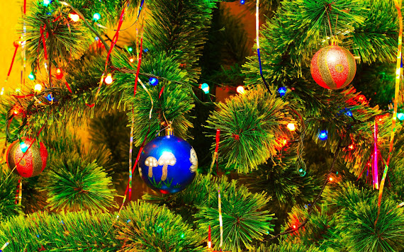 Merry Christmas download besplatne Božićne pozadine za desktop 1440x900 slike ecards čestitke Sretan Božić