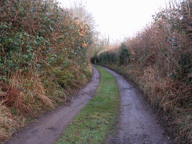 20th_february_09