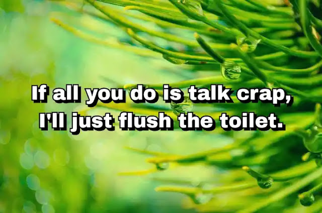 "If all you do is talk crap, I'll just flush the toilet." ~ Behdad Sami