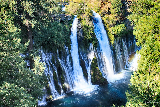 Burney Falls State Park California geology travel field trip tour copyright rocdoctravel.com