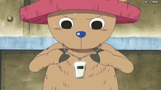 ワンピース アニメ 空島 スカイピア 161話 チョッパー かわいい Tony Tony Chopper | ONE PIECE Episode 161 Skypiea