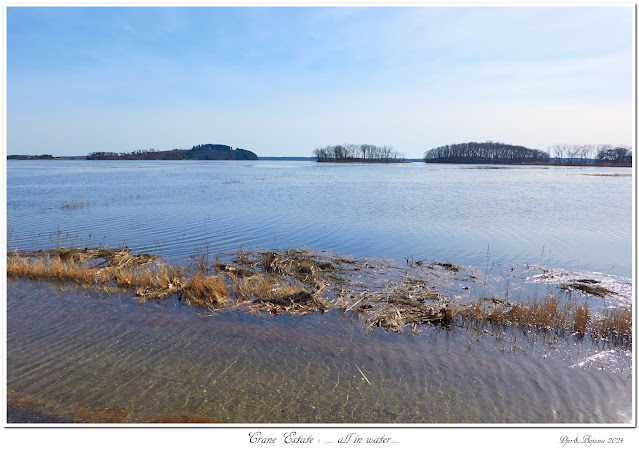 Crane Estate: ... all in water...