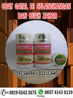 OBAT GATAL DI SELANGKANGAN DAN BUAH ZAKAR