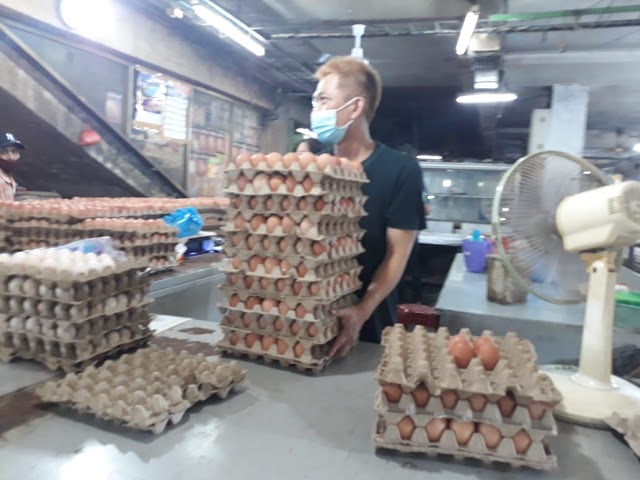 Harga Pakan Melambung, Peternak Ayam Petelur Terancam Gulung Tikar