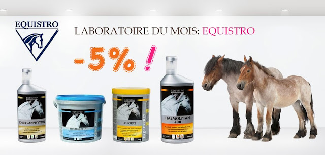 PROMOTION: -5% sur toute la gamme Equistro