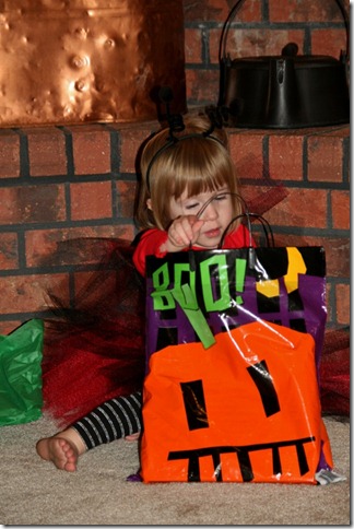 IMG_2390 (2) (533x800)