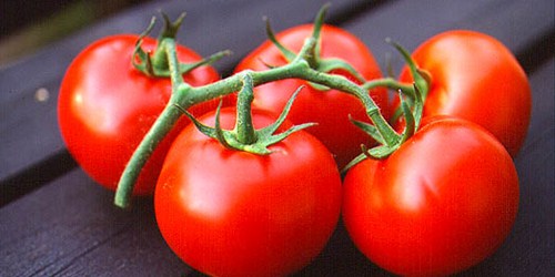 manfaat buah tomat untuk kulit wajah