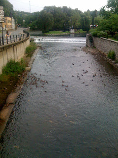 beautiful park in Belfonte