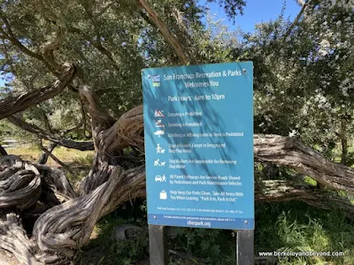 rules for Mountain Lake Park in San Francisco, California