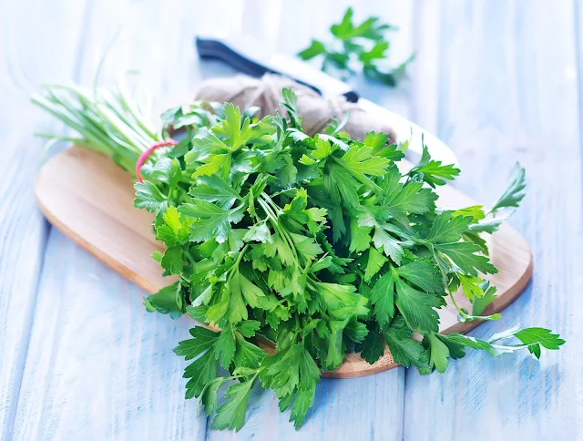 البقدونس Parsley