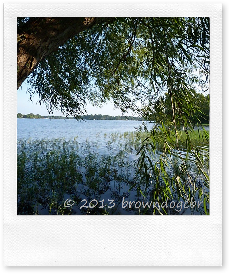 P1240584