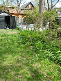 Riverdale Backyard Garden Spring Cleanup Before by Paul Jung Gardening Services--a Toronto Gardening Company