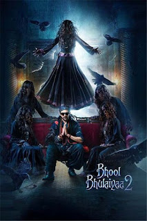 Bhool Bhulaiyaa 2 2022 480p Movie Download