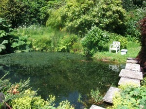 Chartwell Pond with Churchill s Chair