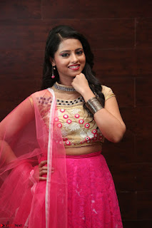Geethanjali sizzles in Pink at Mixture Potlam Movie Audio Launch 023.JPG