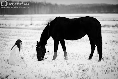 Ania, koń, zima, śnieg, biel, czerń, Krzysztof , Łos, B&W, Rawtherapy, Gimp