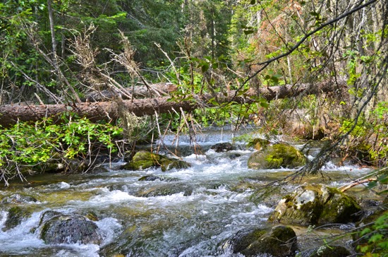 bass-creek-trail-montana