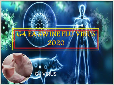 G4 EA SWINE FLU VIRUS