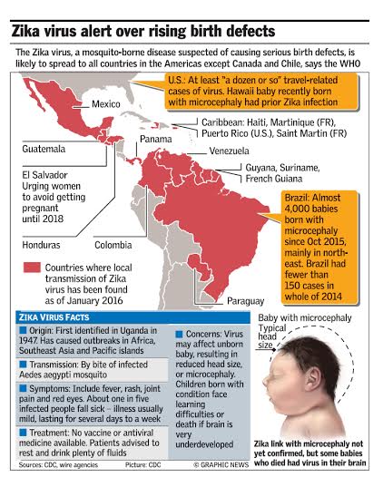  Zika Virus