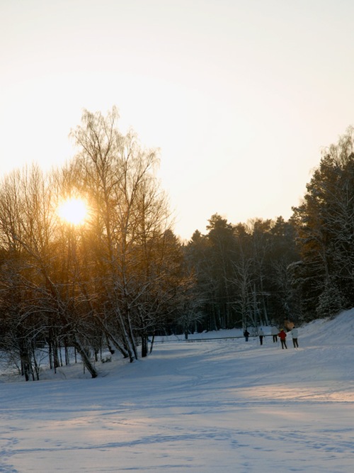 _DSC0781s