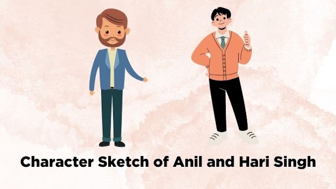 Character Sketch of Anil and Hari Singh