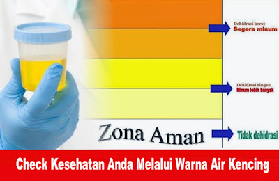 Check Kesehatan Anda Melalui Warna Air  Kencing Barang 