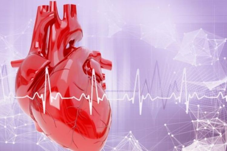 Apa Perbedaan Penyakit Jantung dan Serangan Jantung? Belajar Sampai Mati, belajarsampaimati.com, hoeda manis