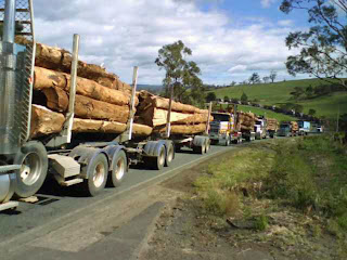 Timber Exports