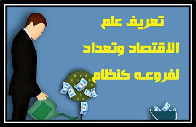 تعريف علم الاقتصاد وتعداد لفروعـه كنظام