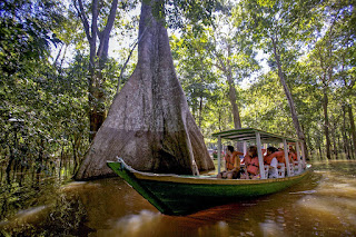 Amazon River facts in Hindi