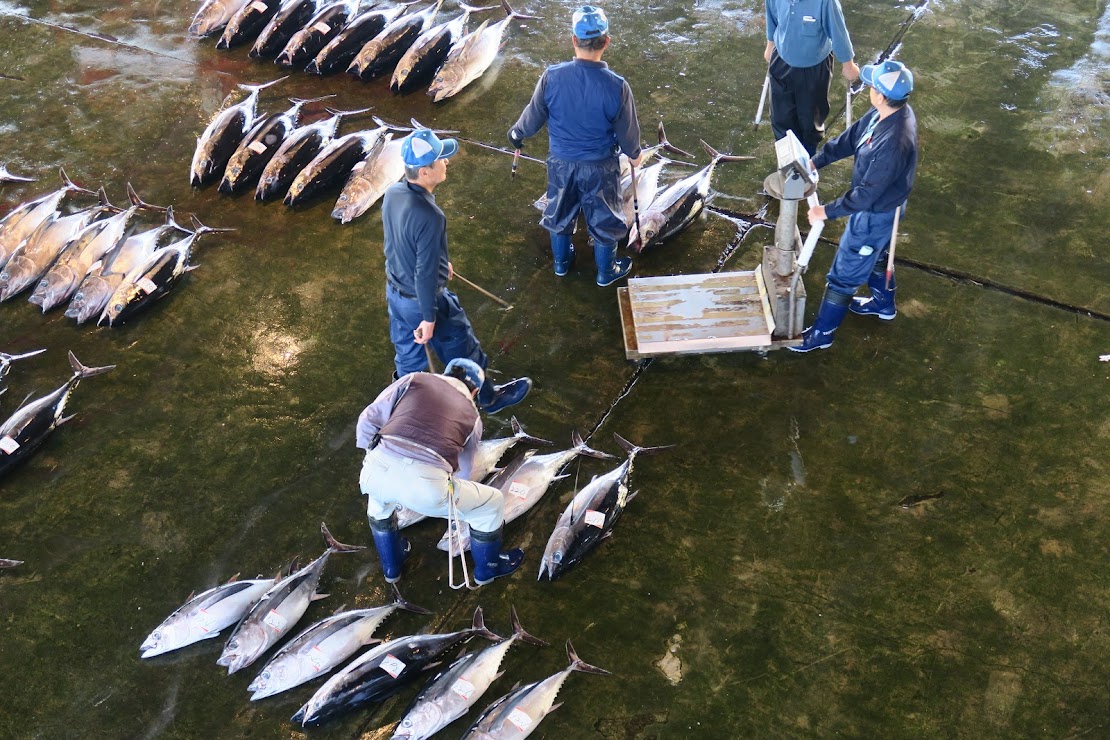Kii-Katsuura Fish Market