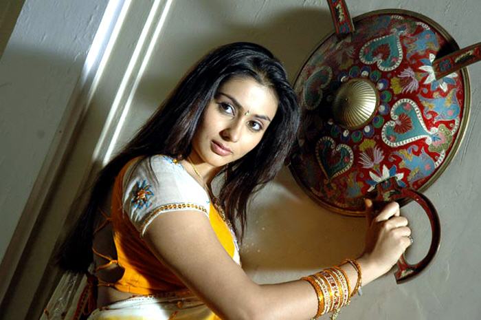 hot mallu masala actress namitha latest pics,hot show of her breast