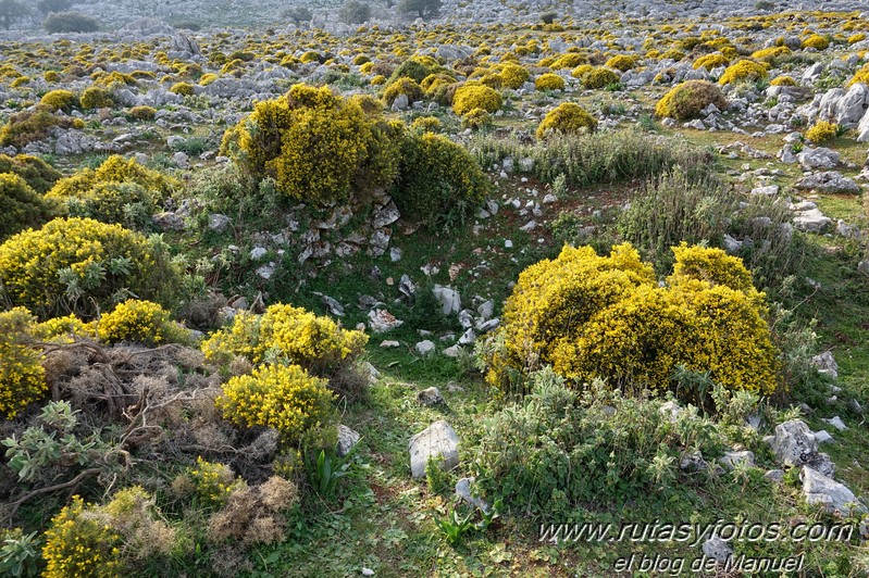 Cerro el Cerrajón