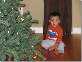IMG_0114 (5)