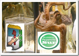 pulpo