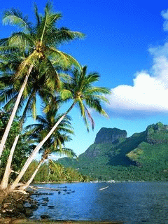 Kumpulan Wallpaper Android Bergerak Keren Terbaru Gratis
