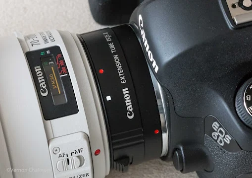 Canon EOS Camera Field Testing Service Cape Town