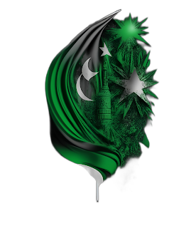 graphic design, Pakistan Independence Day, Unique, vector image, masterpiece,  Black Background,