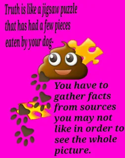 Truth is like a jigsaw puzzle that has had a few pieces eaten by your dog--You have to gather facts from sources you may not like in order to see the whole picture.