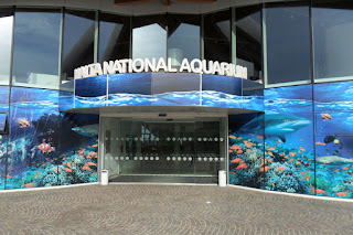 Malta National Aquarium, Qawra, Malta